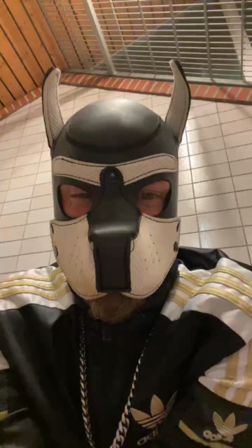 machobulle2  25-08-2021 Recorded Video XXX